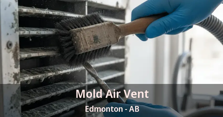 Mold Air Vent Edmonton - AB