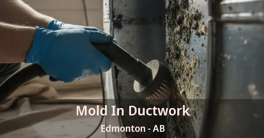 Mold In Ductwork Edmonton - AB